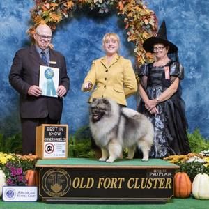 Meet your Posher, Sandi